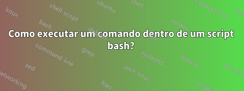 Como executar um comando dentro de um script bash?