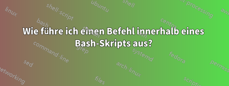 Wie führe ich einen Befehl innerhalb eines Bash-Skripts aus?