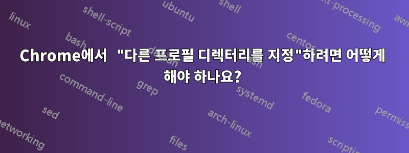 Chrome에서 "다른 프로필 디렉터리를 지정"하려면 어떻게 해야 하나요?