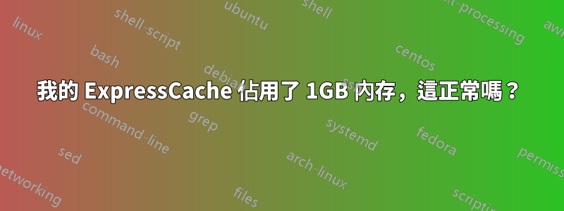 我的 ExpressCache 佔用了 1GB 內存，這正常嗎？