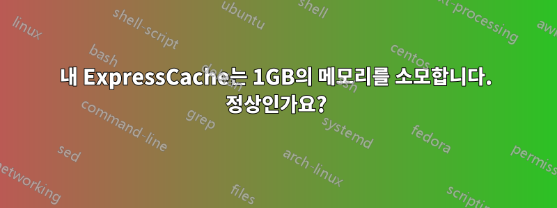 내 ExpressCache는 1GB의 메모리를 소모합니다. 정상인가요?