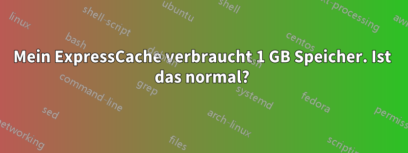 Mein ExpressCache verbraucht 1 GB Speicher. Ist das normal?