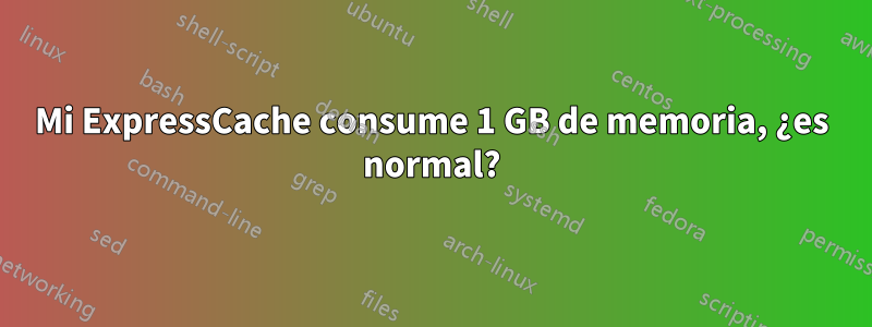 Mi ExpressCache consume 1 GB de memoria, ¿es normal?