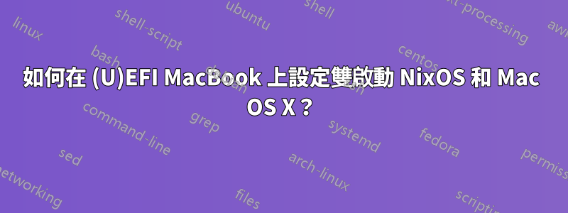 如何在 (U)EFI MacBook 上設定雙啟動 NixOS 和 Mac OS X？