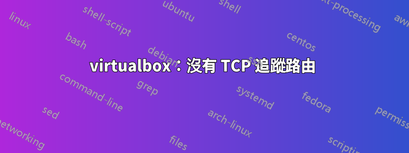 virtualbox：沒有 TCP 追蹤路由