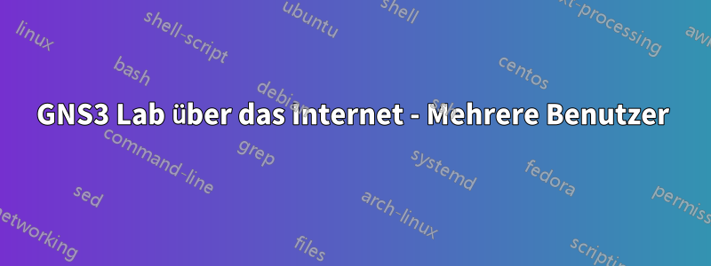 GNS3 Lab über das Internet - Mehrere Benutzer