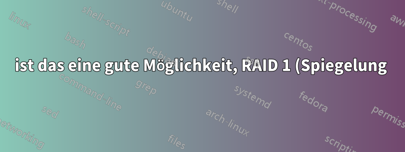 ist das eine gute Möglichkeit, RAID 1 (Spiegelung) durchzuführen?
