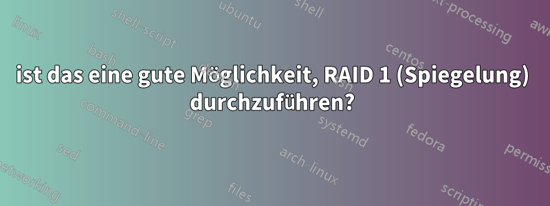 ist das eine gute Möglichkeit, RAID 1 (Spiegelung) durchzuführen?