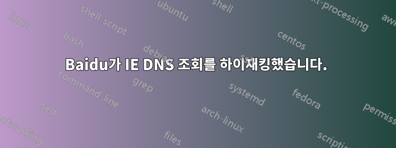 Baidu가 IE DNS 조회를 하이재킹했습니다.