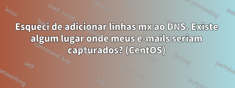 Esqueci de adicionar linhas mx ao DNS. Existe algum lugar onde meus e-mails seriam capturados? (CentOS)