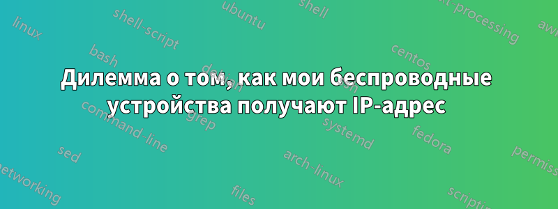 Дилемма о том, как мои беспроводные устройства получают IP-адрес