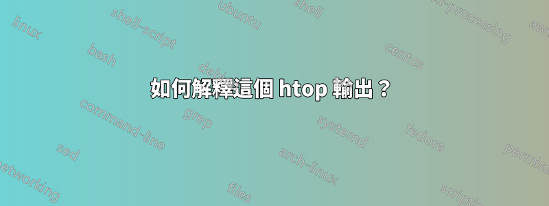 如何解釋這個 htop 輸出？