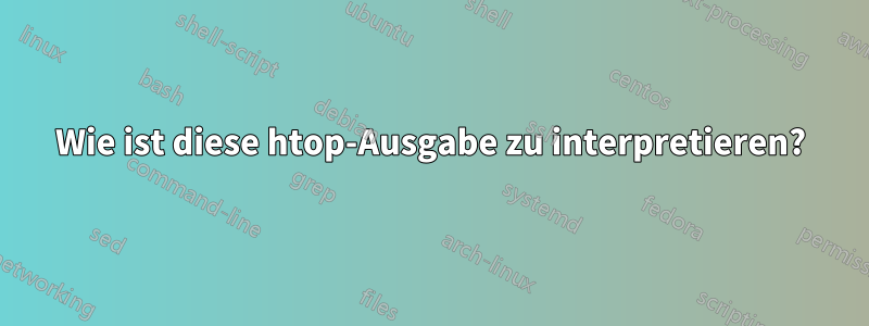 Wie ist diese htop-Ausgabe zu interpretieren?