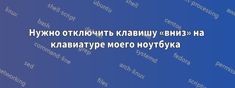 Нужно отключить клавишу «вниз» на клавиатуре моего ноутбука 