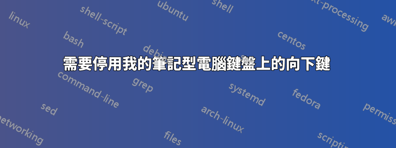 需要停用我的筆記型電腦鍵盤上的向下鍵