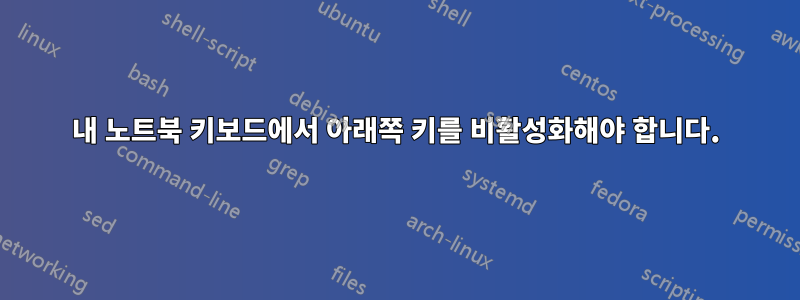 내 노트북 ​​키보드에서 아래쪽 키를 비활성화해야 합니다.