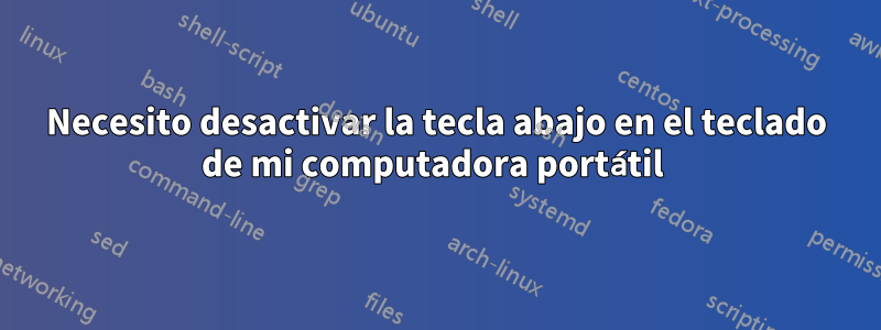 Necesito desactivar la tecla abajo en el teclado de mi computadora portátil 