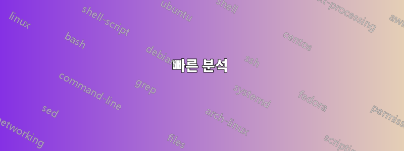 빠른 분석