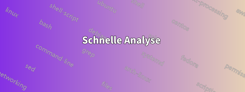 Schnelle Analyse