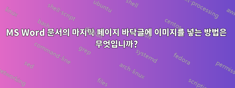 MS Word 문서의 마지막 페이지 바닥글에 이미지를 넣는 방법은 무엇입니까?