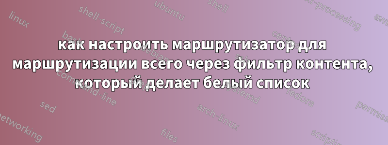 как настроить маршрутизатор для маршрутизации всего через фильтр контента, который делает белый список