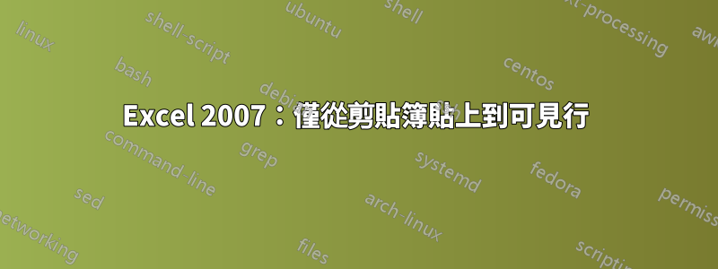 Excel 2007：僅從剪貼簿貼上到可見行