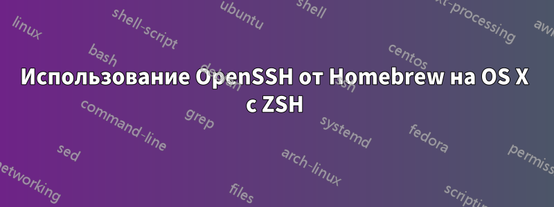 Использование OpenSSH от Homebrew на OS X с ZSH