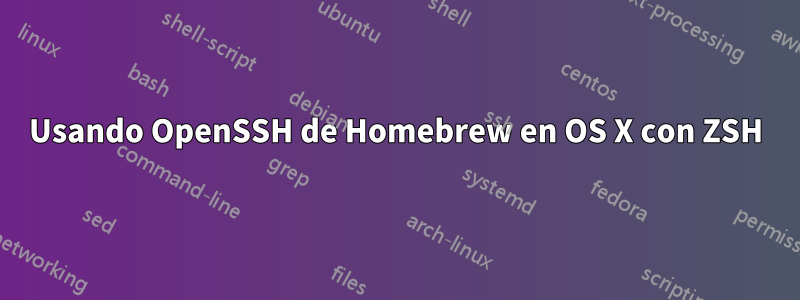 Usando OpenSSH de Homebrew en OS X con ZSH