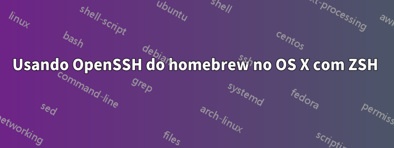 Usando OpenSSH do homebrew no OS X com ZSH