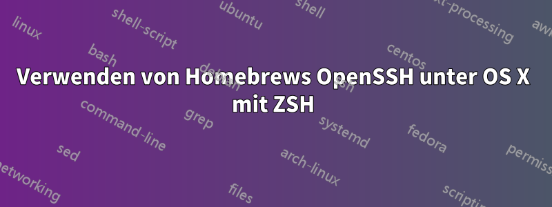 Verwenden von Homebrews OpenSSH unter OS X mit ZSH