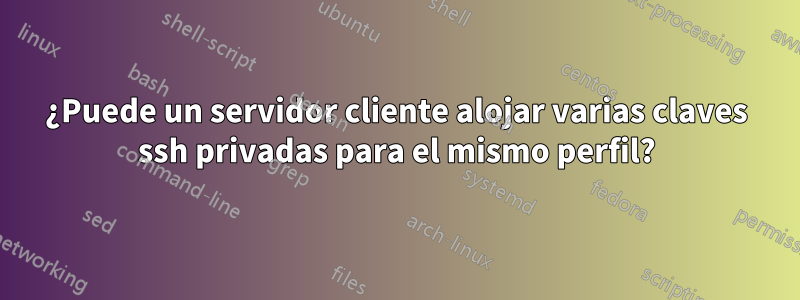 ¿Puede un servidor cliente alojar varias claves ssh privadas para el mismo perfil?