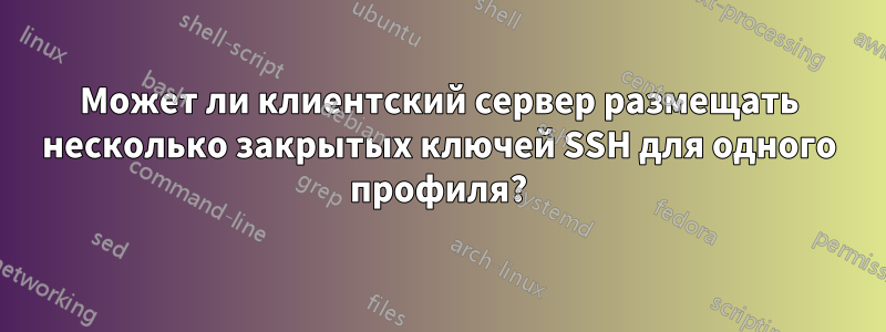 Может ли клиентский сервер размещать несколько закрытых ключей SSH для одного профиля?