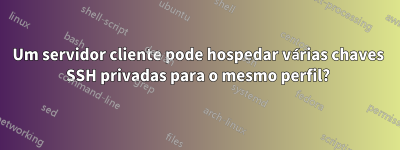 Um servidor cliente pode hospedar várias chaves SSH privadas para o mesmo perfil?