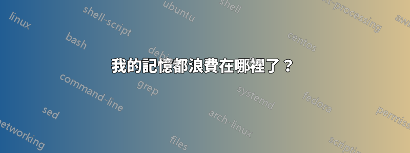 我的記憶都浪費在哪裡了？