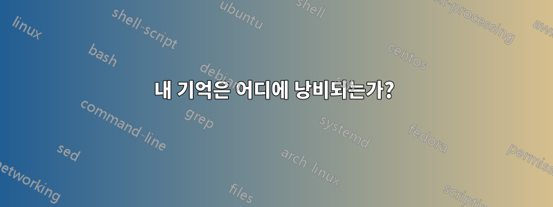 내 기억은 어디에 낭비되는가?