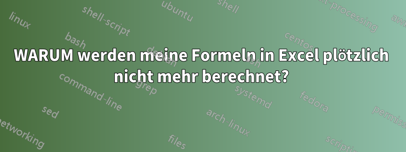 WARUM werden meine Formeln in Excel plötzlich nicht mehr berechnet?