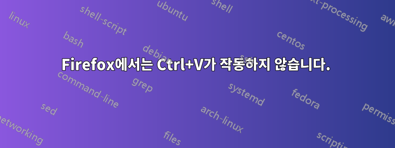 Firefox에서는 Ctrl+V가 작동하지 않습니다.