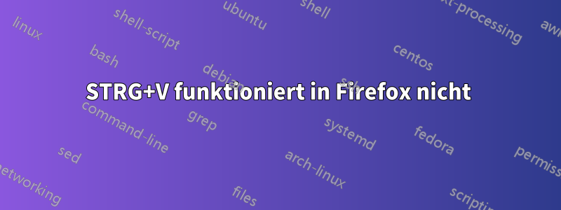 STRG+V funktioniert in Firefox nicht