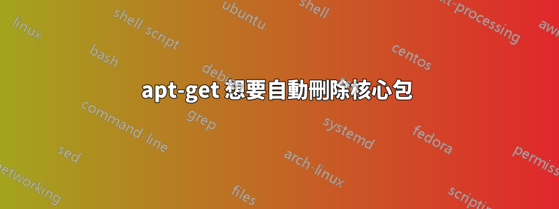 apt-get 想要自動刪除核心包