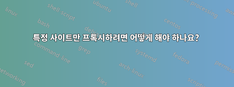 특정 사이트만 프록시하려면 어떻게 해야 하나요?