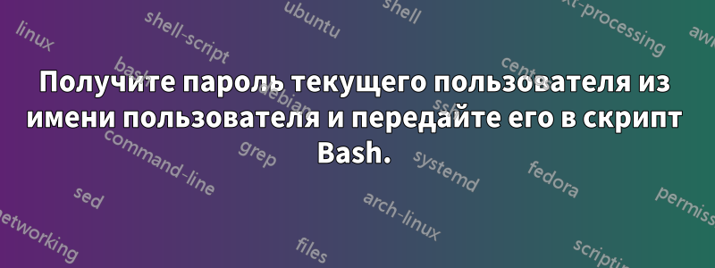 Получите пароль текущего пользователя из имени пользователя и передайте его в скрипт Bash.