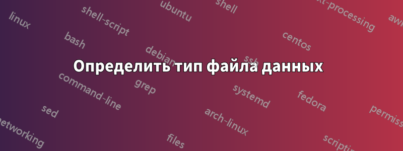 Определить тип файла данных 