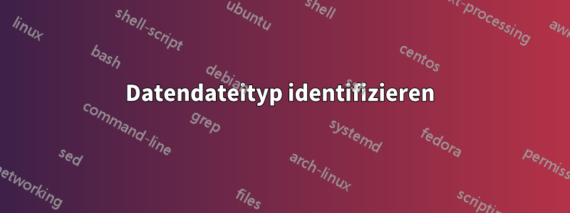 Datendateityp identifizieren 