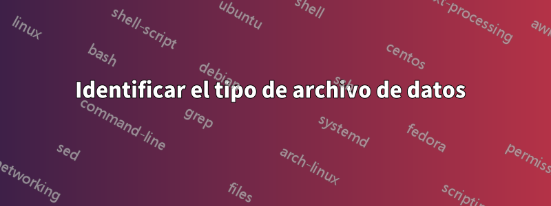 Identificar el tipo de archivo de datos 