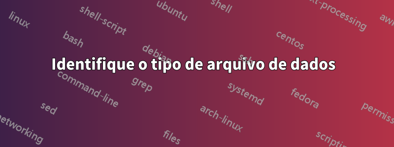 Identifique o tipo de arquivo de dados 