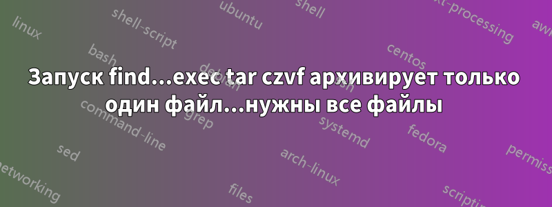 Запуск find...exec tar czvf архивирует только один файл...нужны все файлы