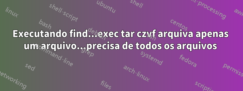 Executando find...exec tar czvf arquiva apenas um arquivo...precisa de todos os arquivos