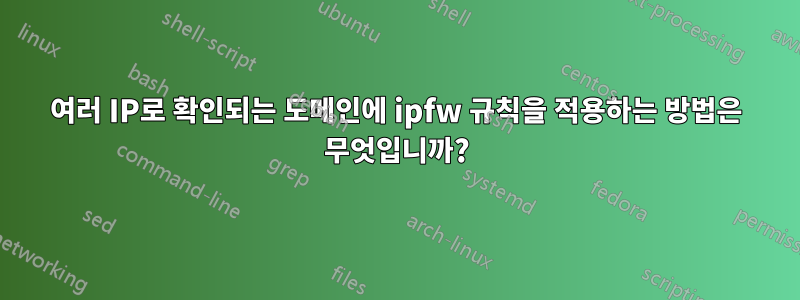 여러 IP로 확인되는 도메인에 ipfw 규칙을 적용하는 방법은 무엇입니까?