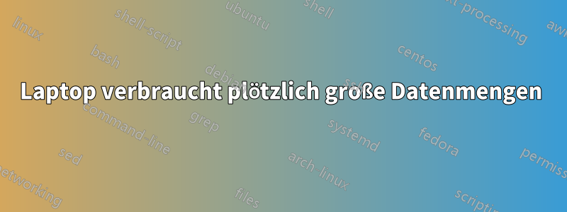 Laptop verbraucht plötzlich große Datenmengen