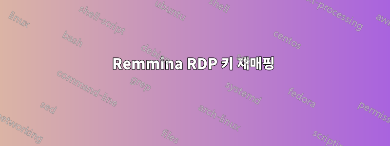 Remmina RDP 키 재매핑